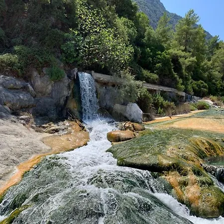 ευμορφο σαν παραμύθι αμυγδαλια * Amfíklia